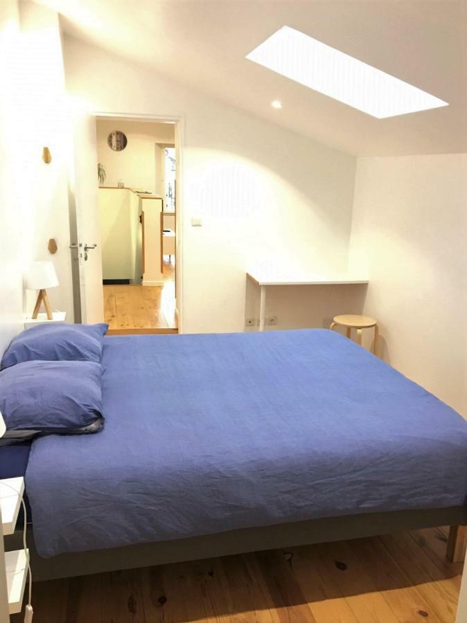 Appartement Le T2 Moderne Des Palmiers Au Coeur De